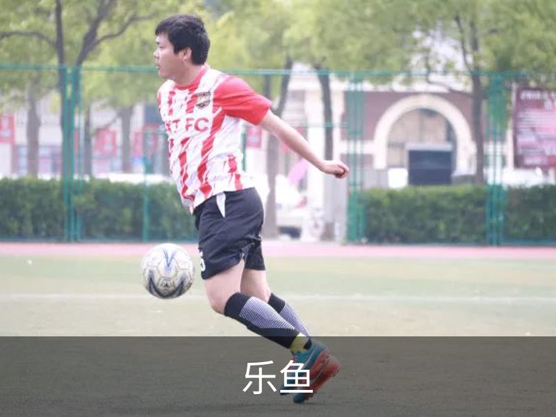 乐鱼介绍